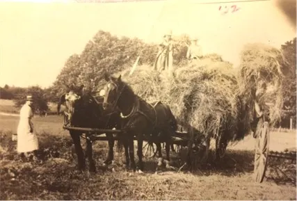 Vintage photograph of a horse-drawn hay wagon in Plainville